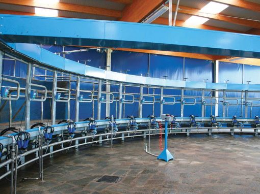Rotary milking parlour with internal milking