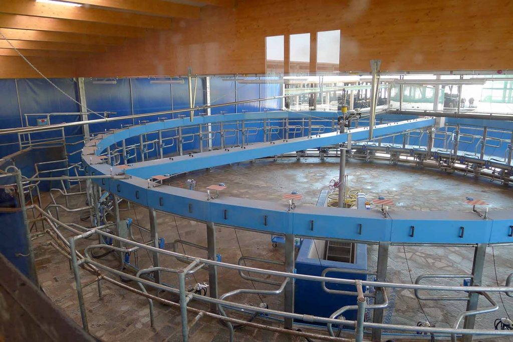 Rotary milking parlour with internal milking TDM Total Dairy Management