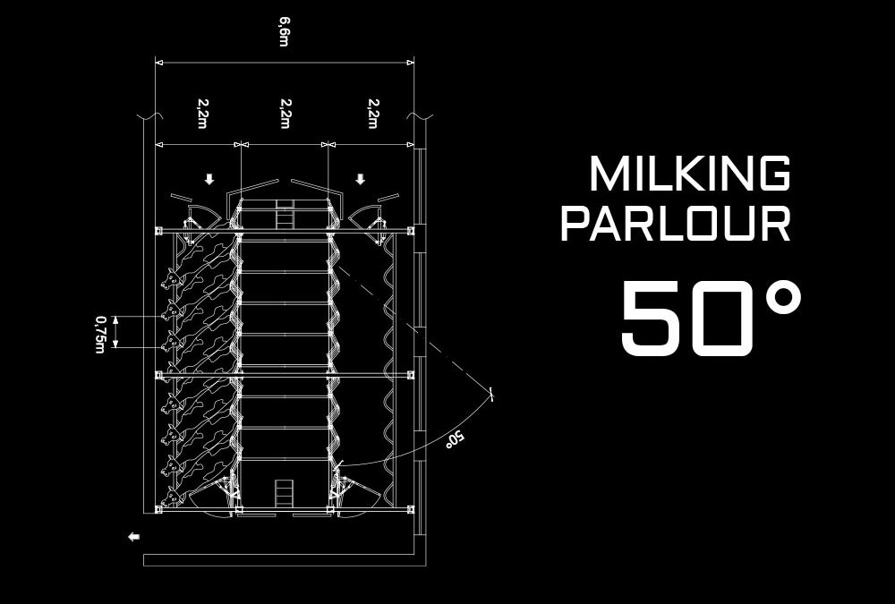 50° milking parlour