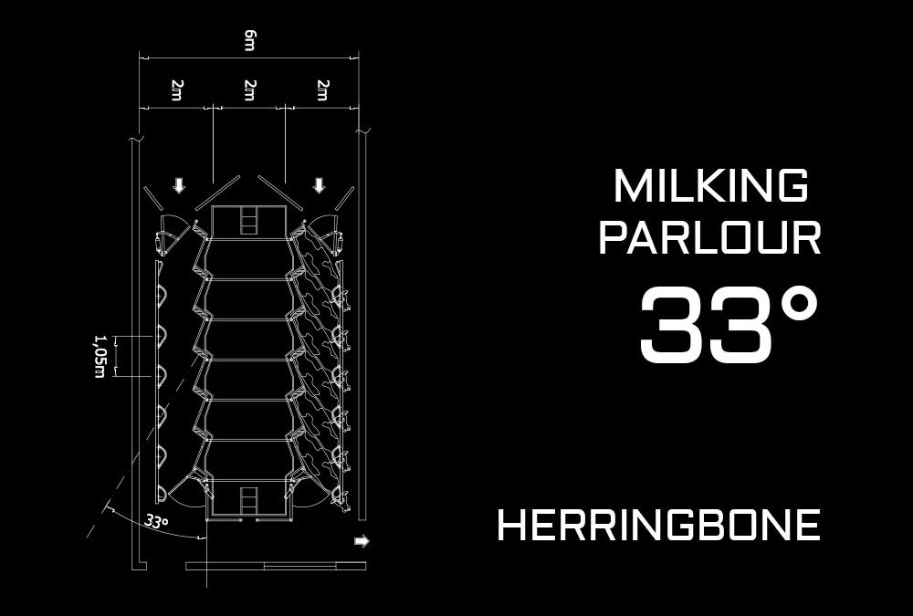 Herringbone Milking Parlour