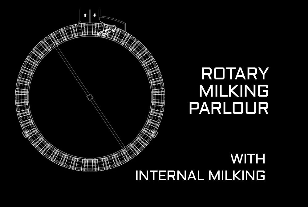 Rotary milking parlour with internal milking