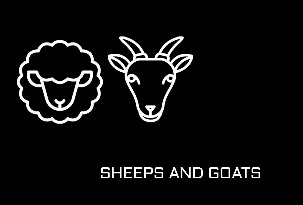 Sheeps and Goats