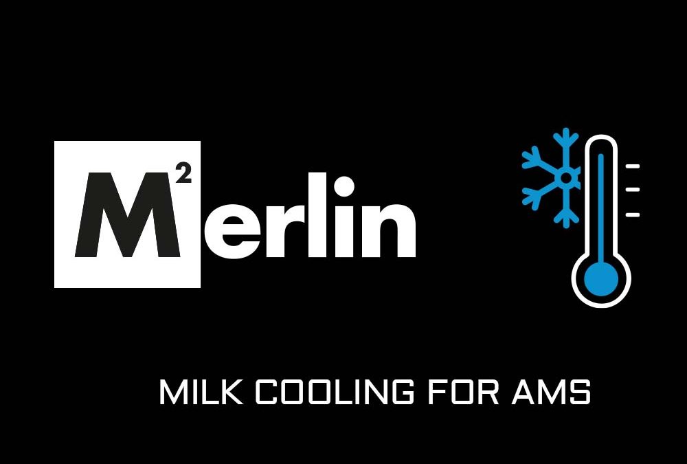 Milk cooling for AMS