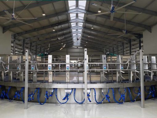 R3 Rotary milking parlour with external milking