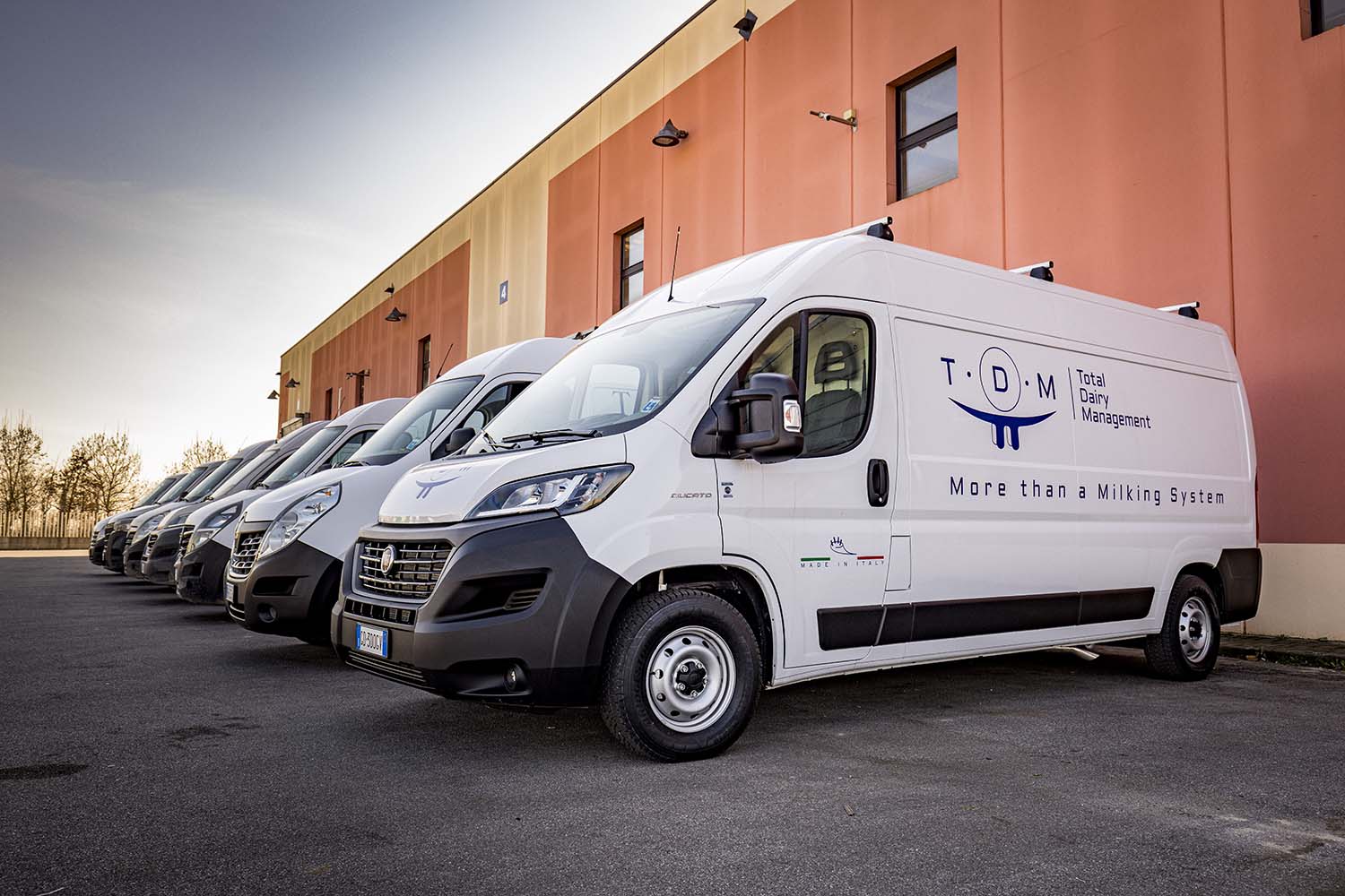 TDM furgoni