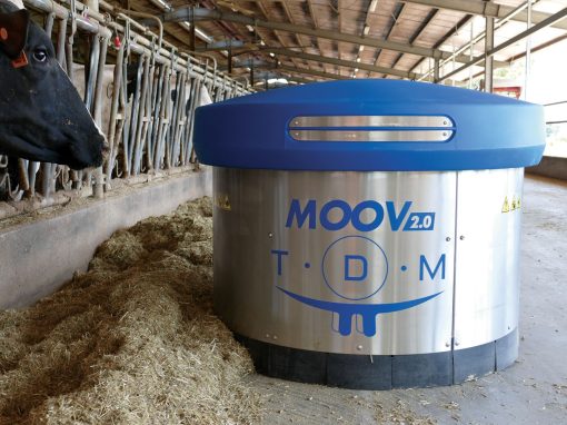 MOOV – Feed conveyor